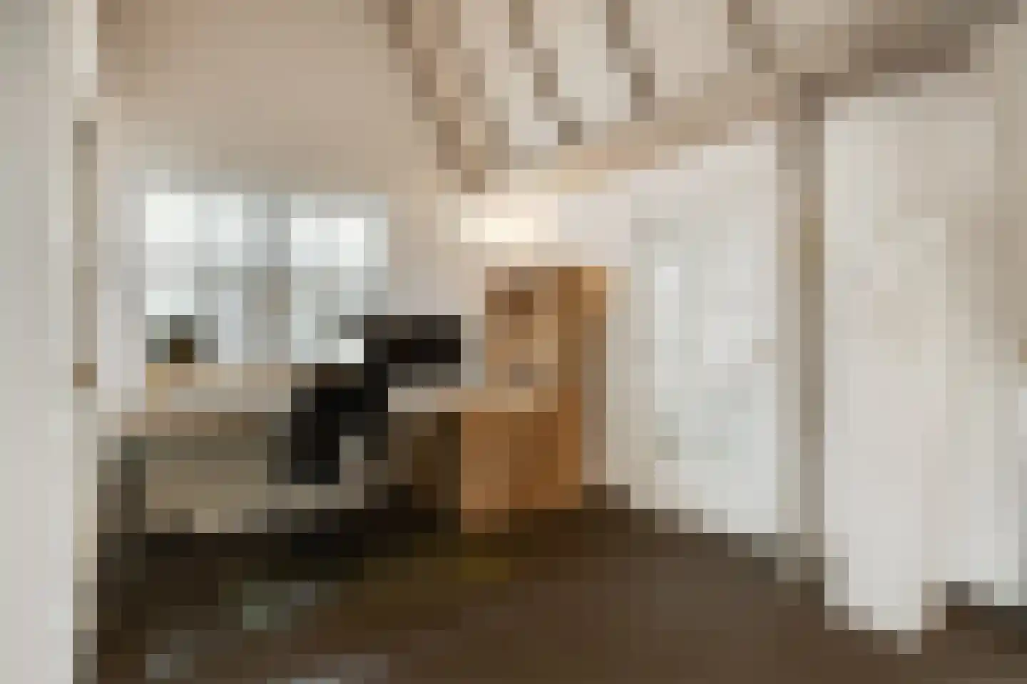 Kruisstraat 4 's-Hertogenbosch thumbnail 40