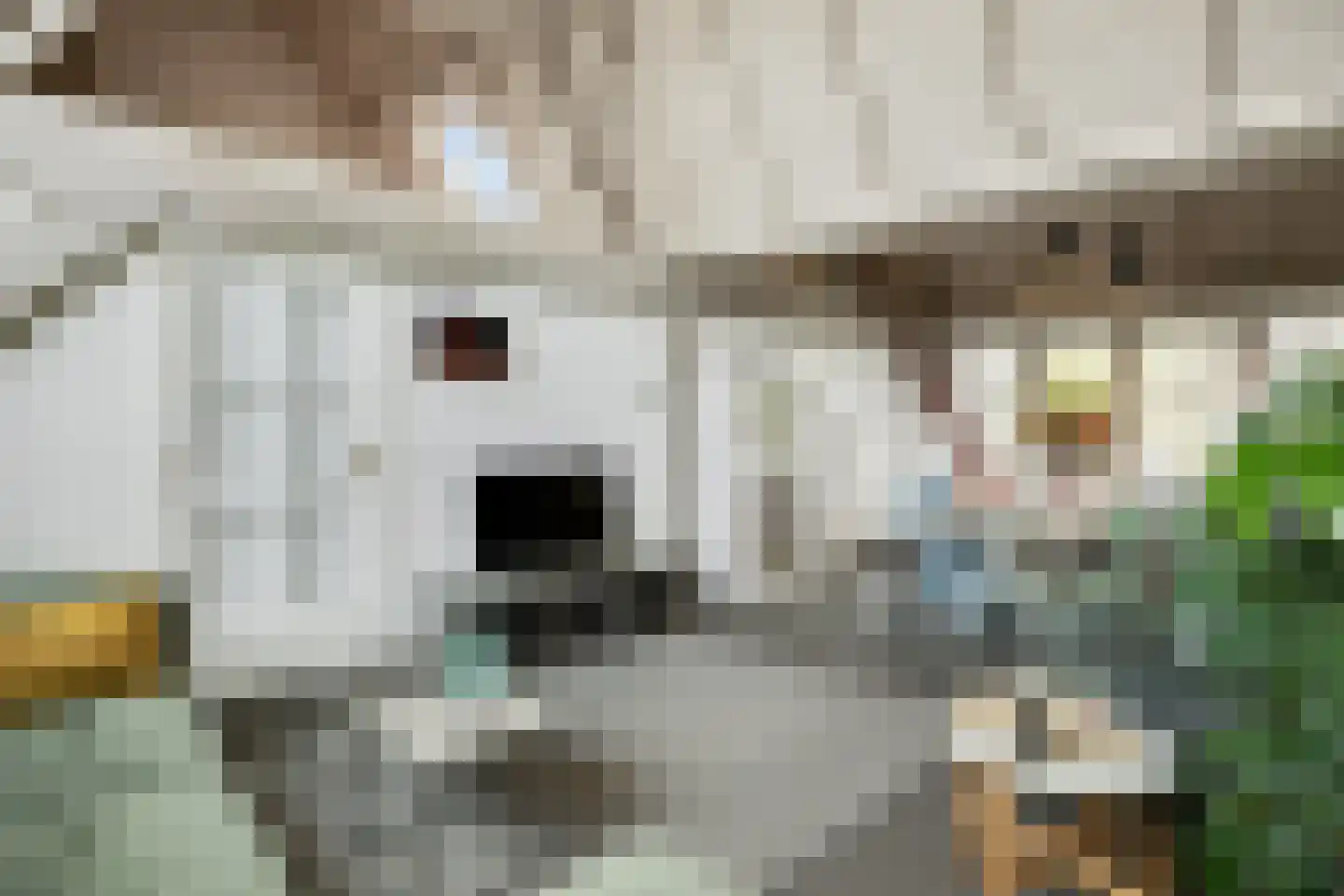 Kruisstraat 4 's-Hertogenbosch thumbnail 43