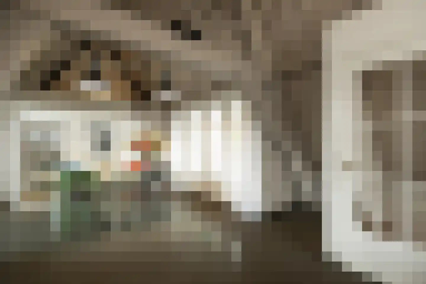 Kruisstraat 4 's-Hertogenbosch thumbnail 45