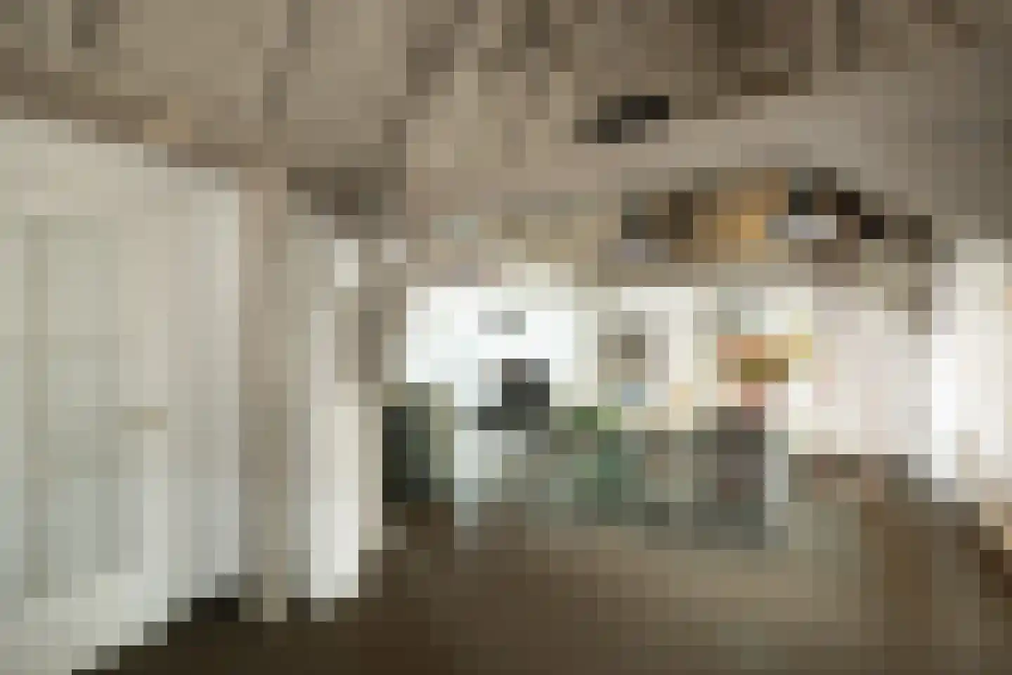 Kruisstraat 4 's-Hertogenbosch thumbnail 46