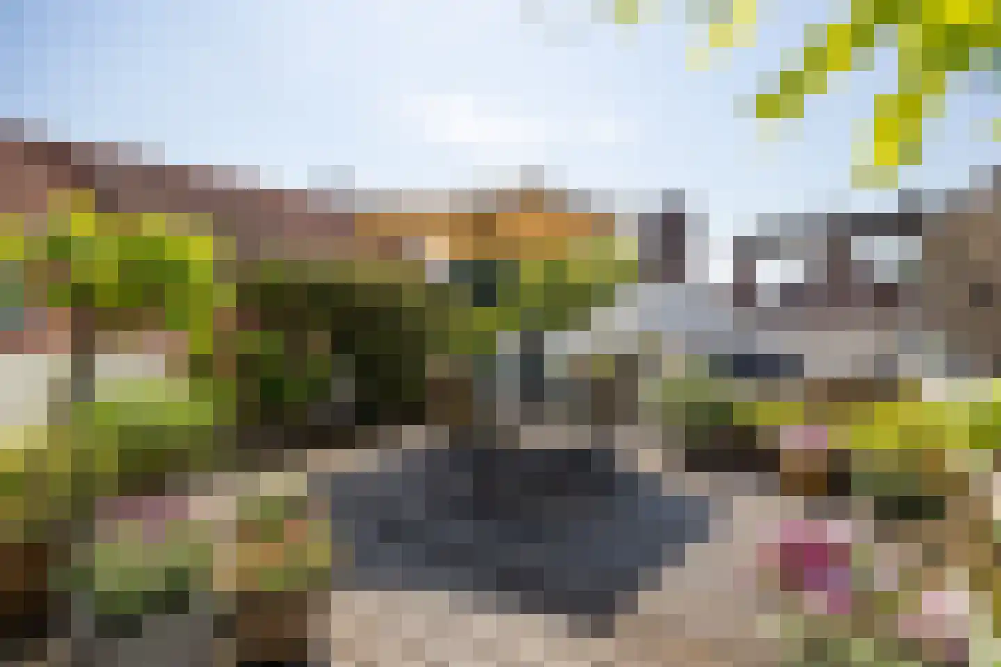 Kruisstraat 4 's-Hertogenbosch thumbnail 50