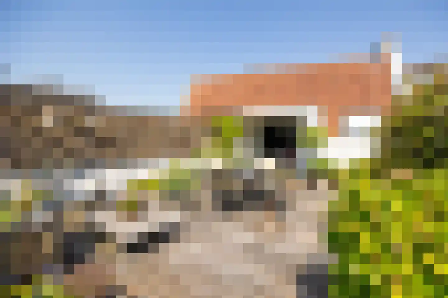 Kruisstraat 4 's-Hertogenbosch thumbnail 51