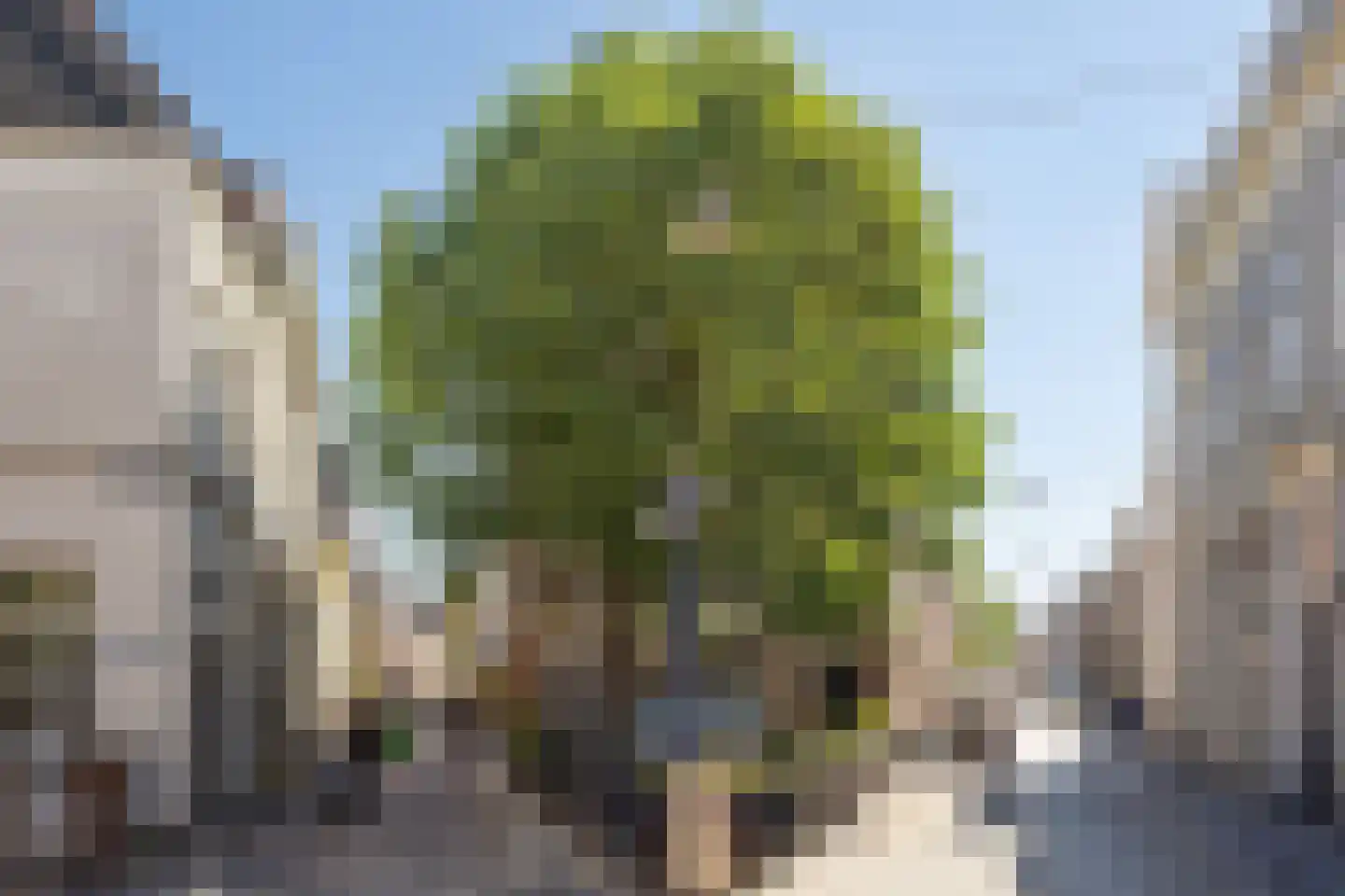 Kruisstraat 4 's-Hertogenbosch thumbnail 57