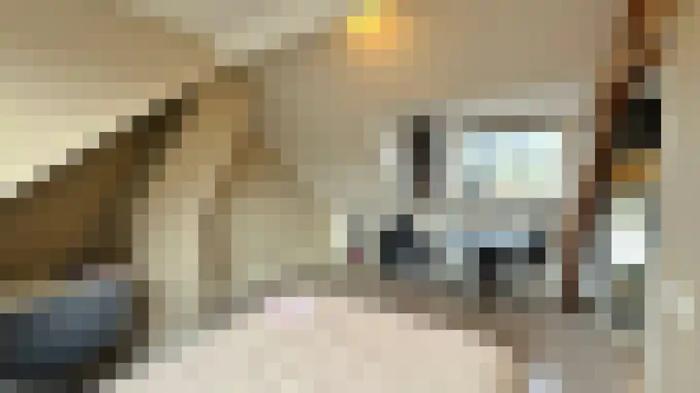 Kruisstraat 40 Assen thumbnail 44