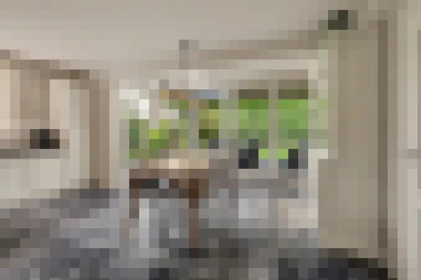 Kruisstraat 41 Reusel thumbnail 29