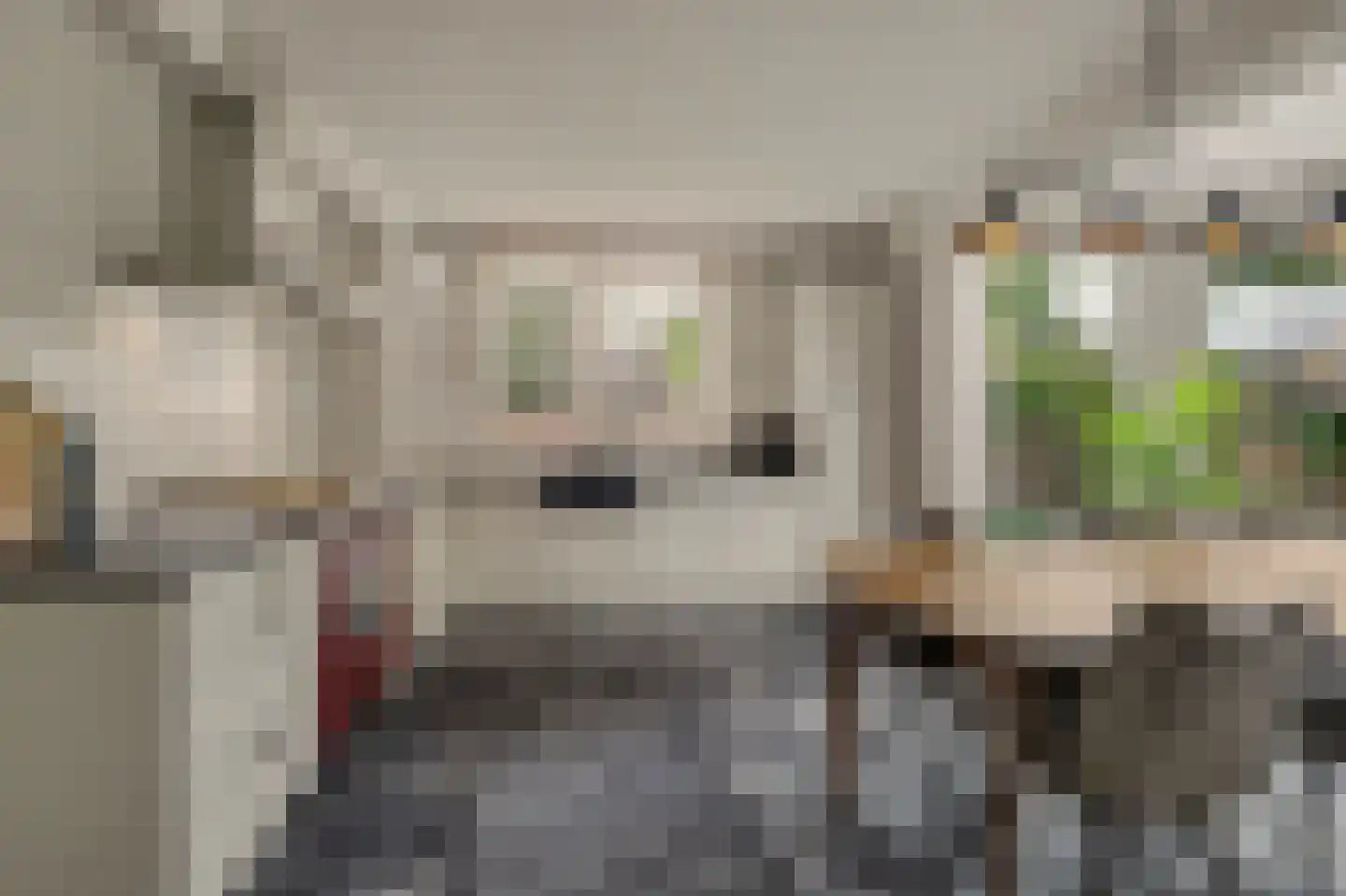 Kruisstraat 41 Reusel thumbnail 30