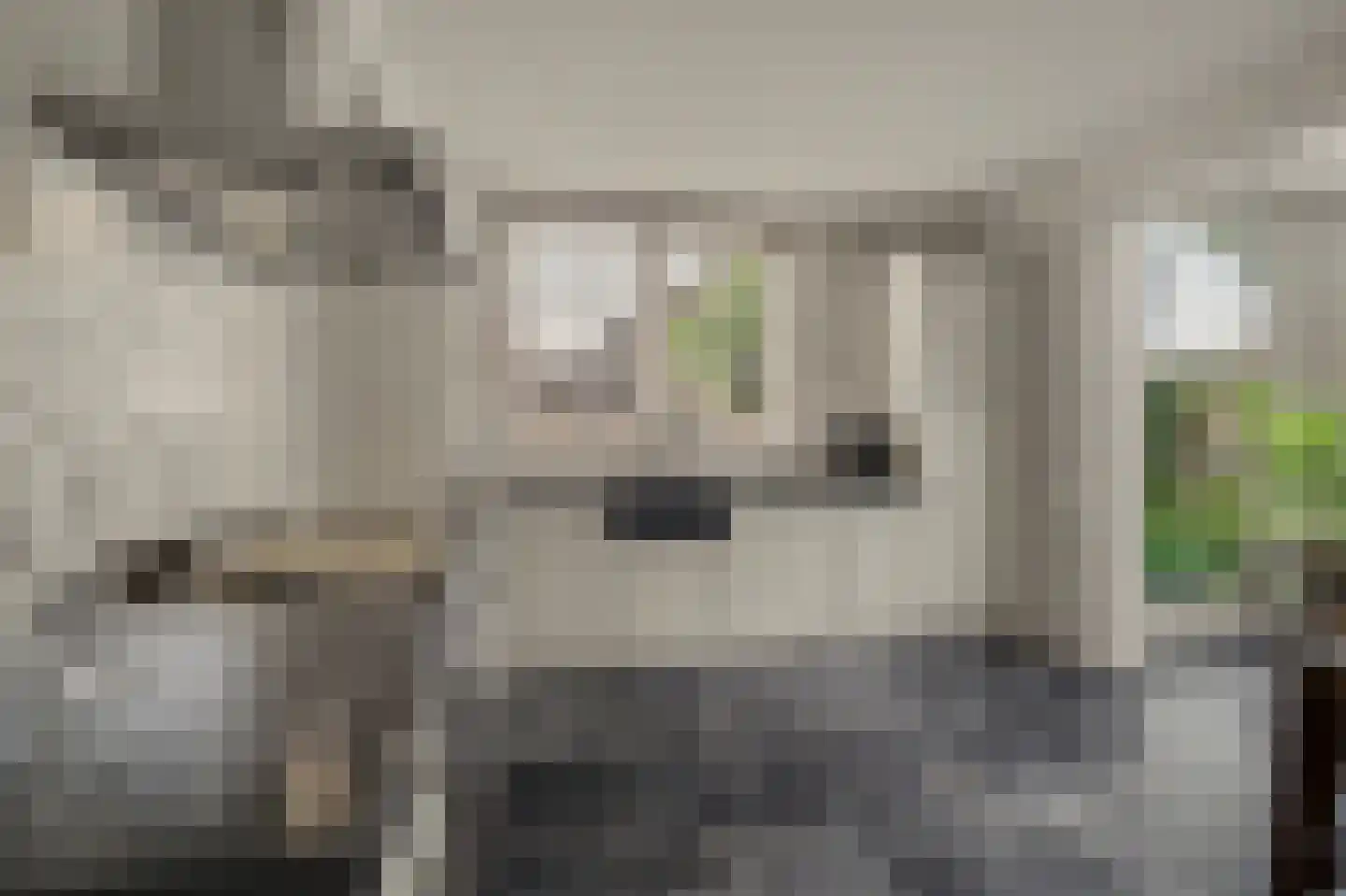 Kruisstraat 41 Reusel thumbnail 32