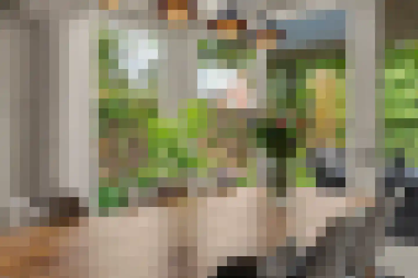 Kruisstraat 41 Reusel thumbnail 35