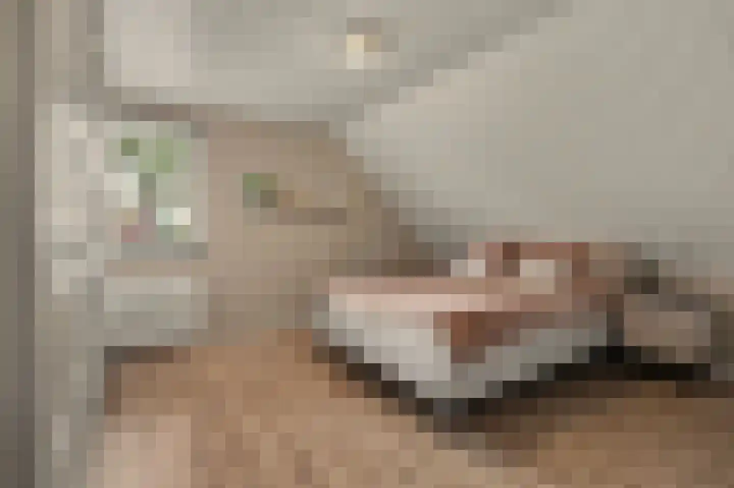 Kruisstraat 41 Reusel thumbnail 41