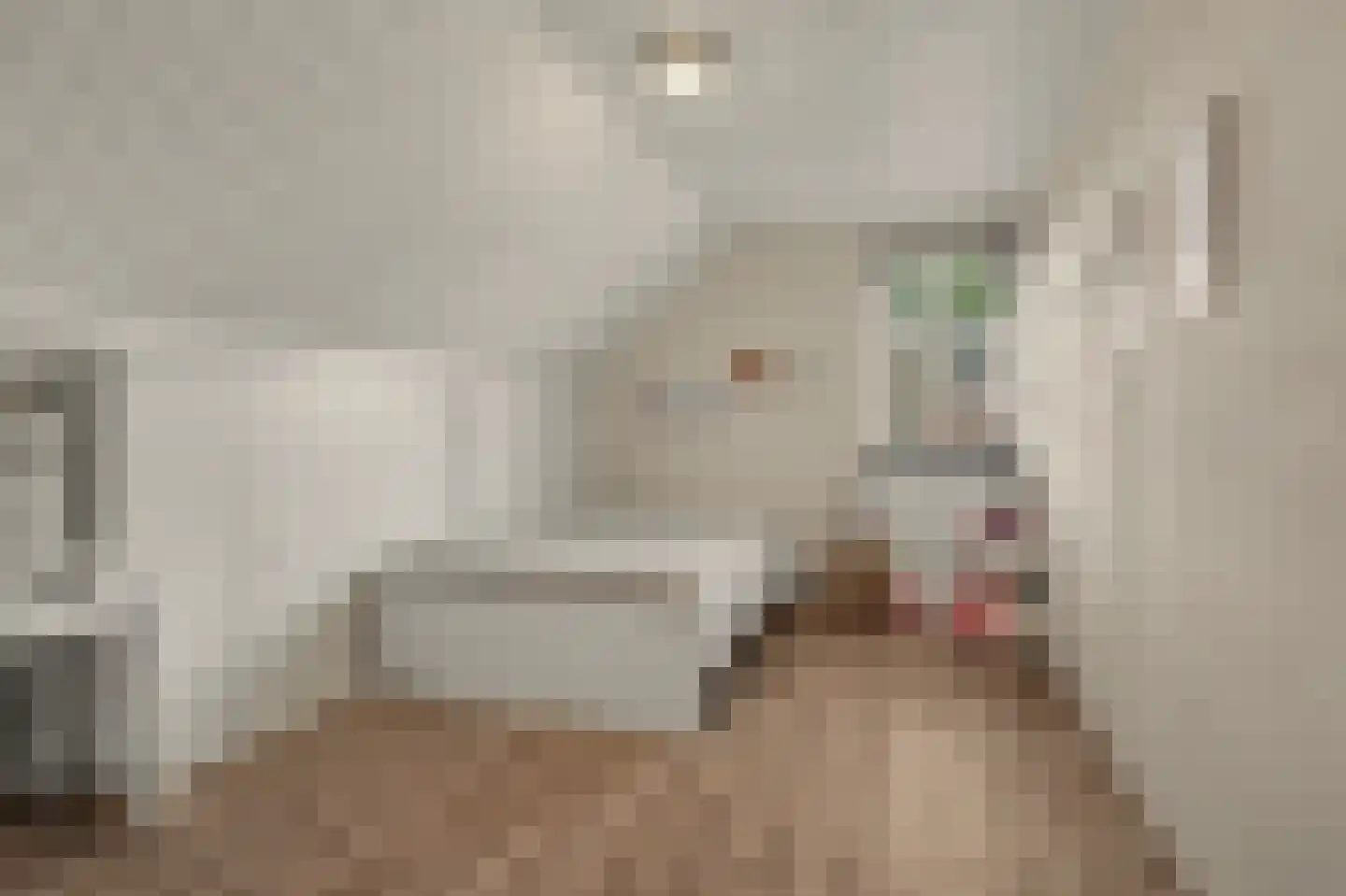 Kruisstraat 41 Reusel thumbnail 42