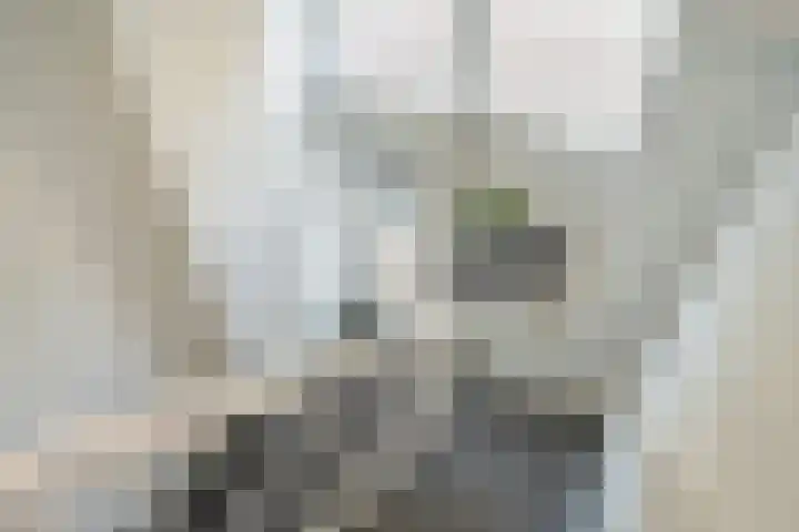 Kruisstraat 42 Delft thumbnail 22