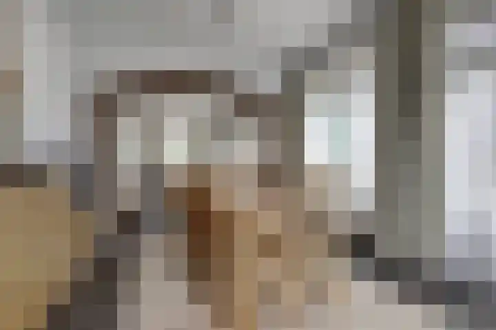 Kruisstraat 43 Wellerlooi thumbnail 12