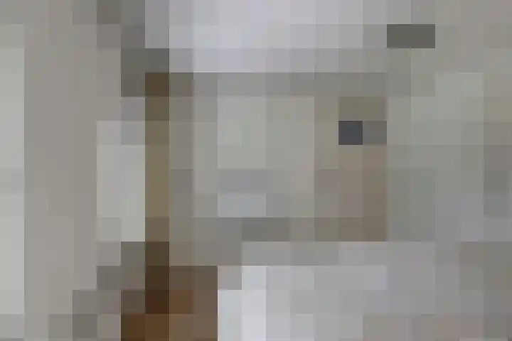 Kruisstraat 43 Wellerlooi thumbnail 19