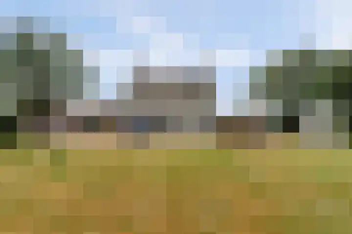 Kruisstraat 43 Wellerlooi thumbnail 5