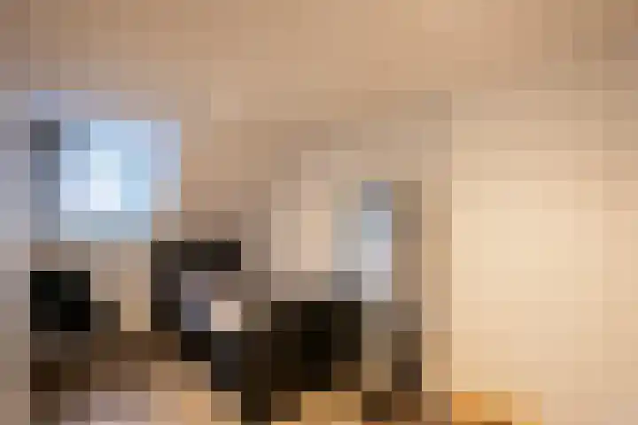 Kruisstraat 45 Oss thumbnail 18
