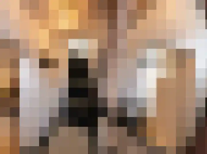 Kruisstraat 45 Oss thumbnail 6