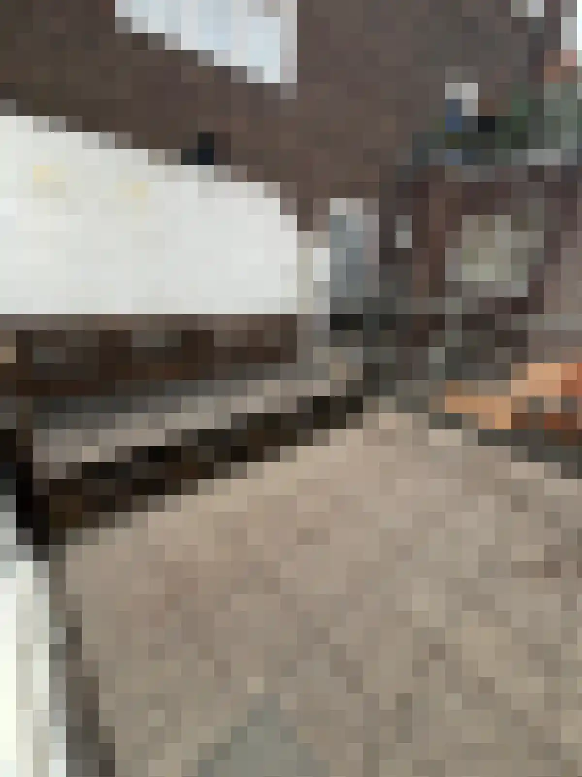 Kruisstraat 46 04 Heerlen thumbnail 5