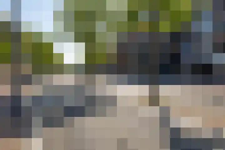 Kruisstraat 47 Hoogeveen thumbnail 31