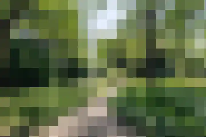 Kruisstraat 47 Rosmalen thumbnail 4