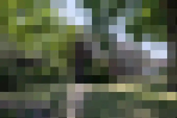 Kruisstraat 47 Rosmalen thumbnail 5
