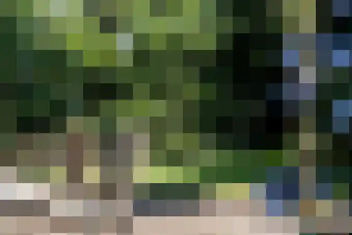 Kruisstraat 47 Rosmalen thumbnail 53