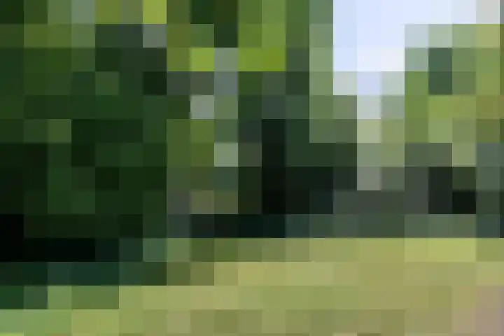 Kruisstraat 47 Rosmalen thumbnail 54