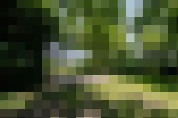 Kruisstraat 47 Rosmalen thumbnail 55