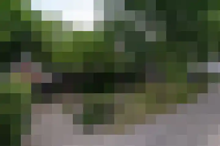 Kruisstraat 47 Rosmalen thumbnail 75