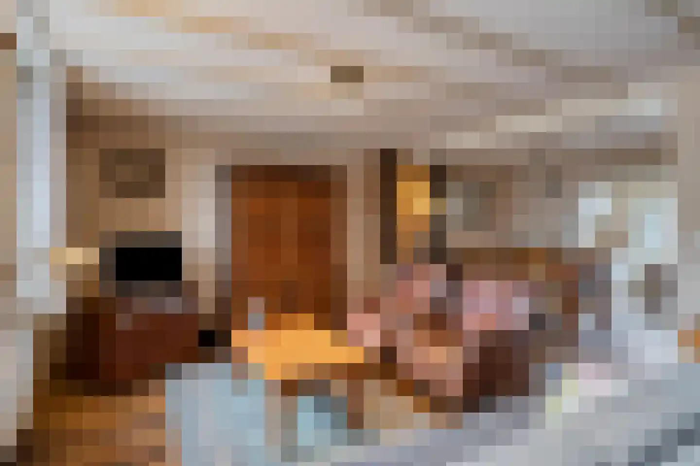 Kruisstraat 49 Werkendam thumbnail 13