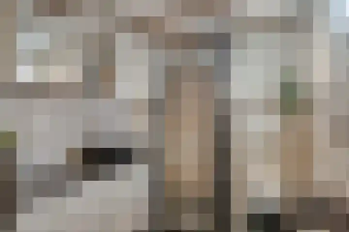 Kruisstraat 5 a Krimpen aan den IJssel thumbnail 11