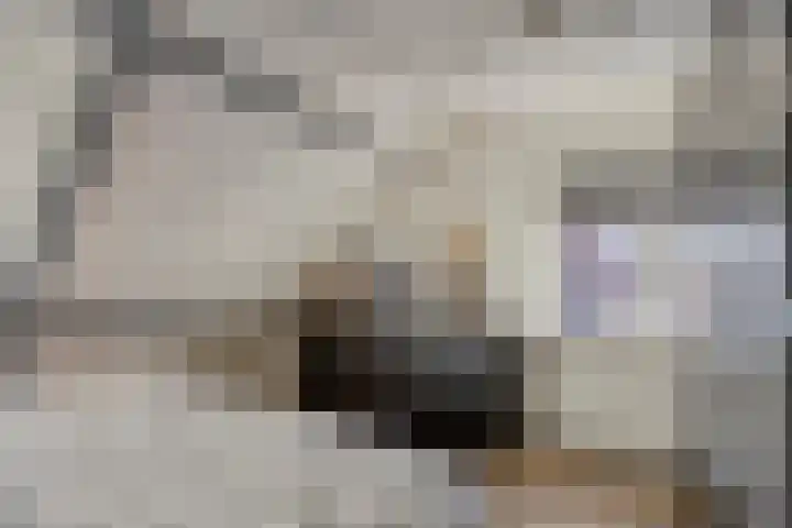 Kruisstraat 5 a Krimpen aan den IJssel thumbnail 16