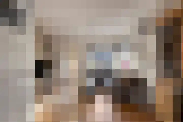 Kruisstraat 5 a Krimpen aan den IJssel thumbnail 6