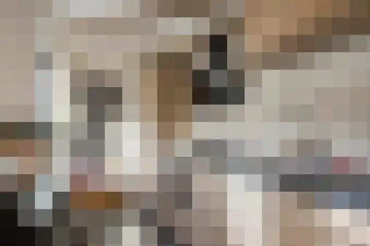Kruisstraat 5 a Krimpen aan den IJssel thumbnail 9