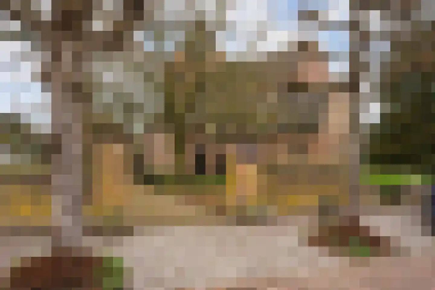 Kruisstraat 5 Batenburg thumbnail 26