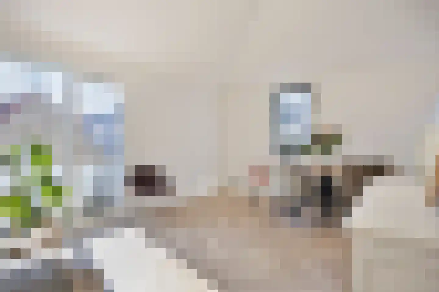 Kruisstraat 5 c Colijnsplaat thumbnail 7