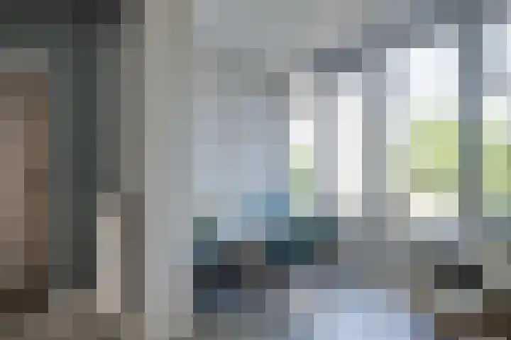Kruisstraat 5 Dieren thumbnail 14