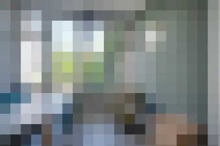 Kruisstraat 5 Dieren thumbnail 15