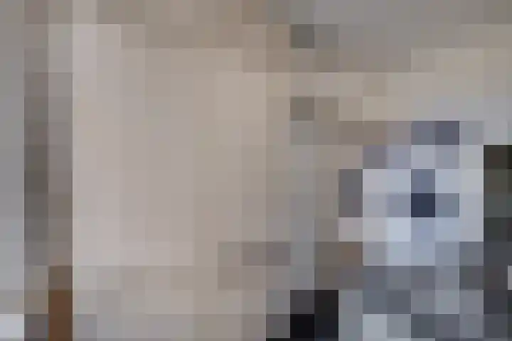 Kruisstraat 5 Dieren thumbnail 18