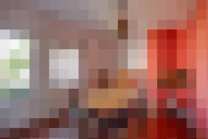 Kruisstraat 5 Dieren thumbnail 24