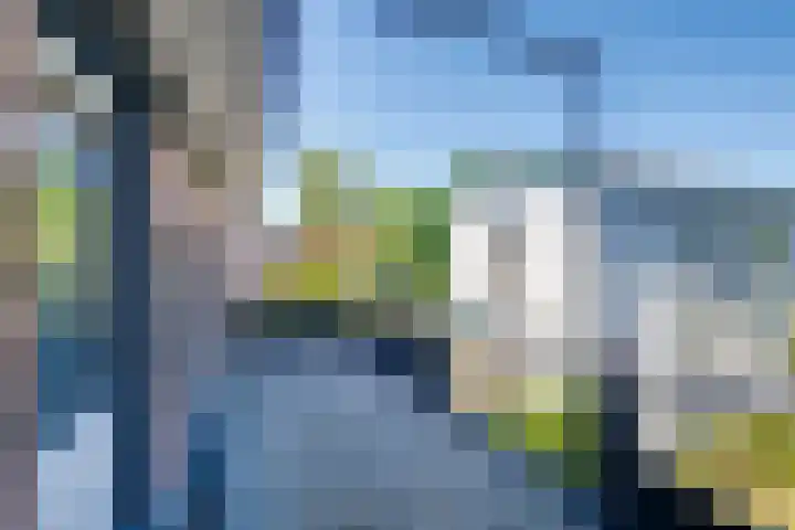 Kruisstraat 5 Dieren thumbnail 25
