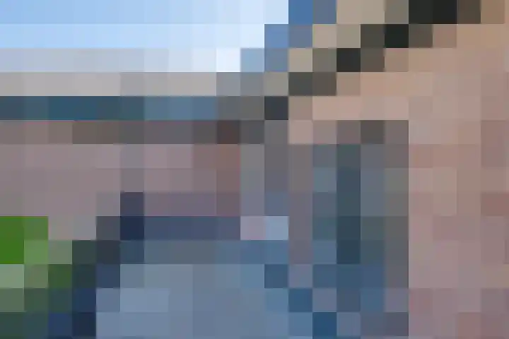 Kruisstraat 5 Dieren thumbnail 26