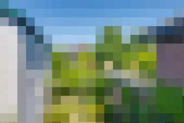 Kruisstraat 5 Dieren thumbnail 27
