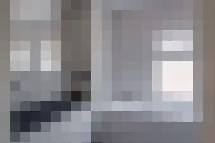 Kruisstraat 5 Dieren thumbnail 28