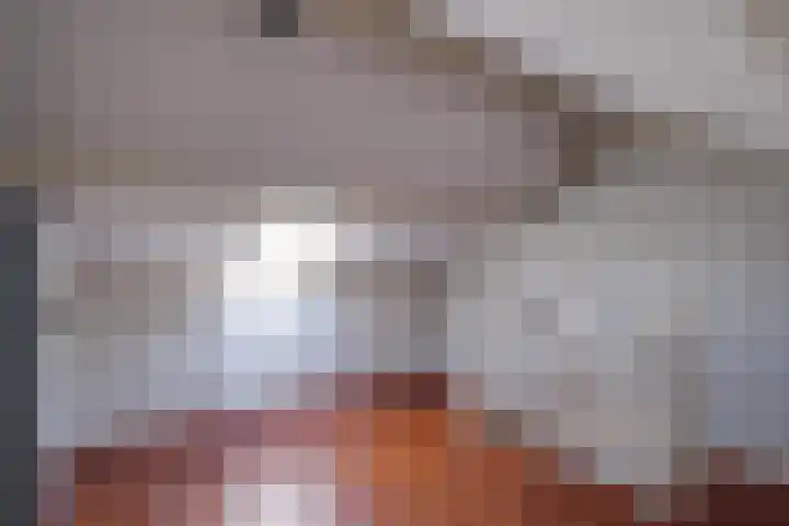 Kruisstraat 5 Dieren thumbnail 31