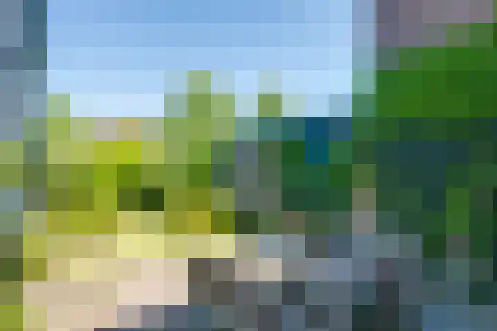 Kruisstraat 5 Dieren thumbnail 32