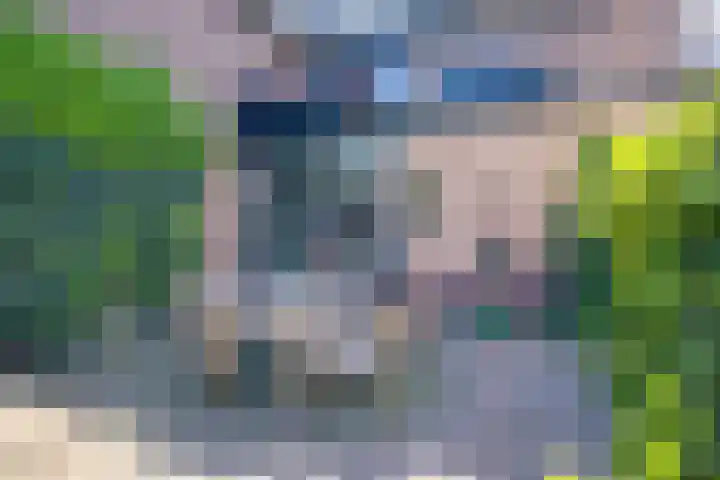 Kruisstraat 5 Dieren thumbnail 34