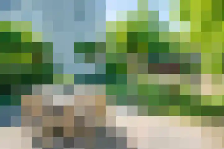 Kruisstraat 5 Dieren thumbnail 36