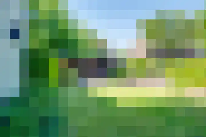 Kruisstraat 5 Dieren thumbnail 37