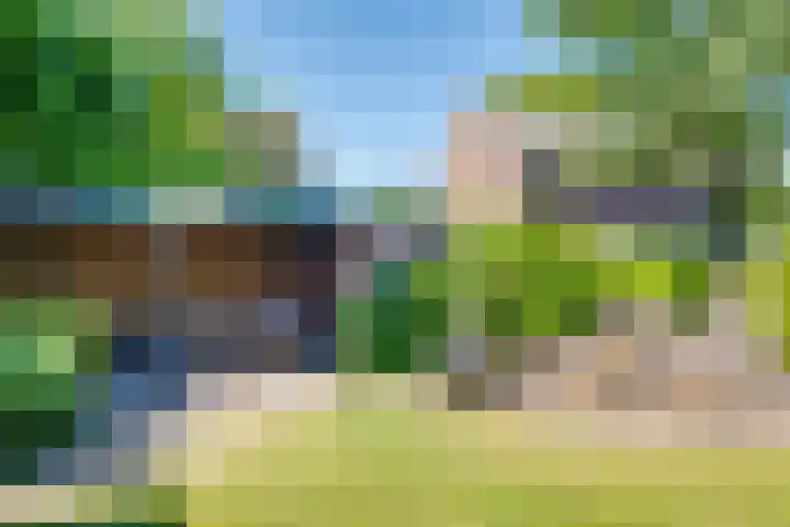 Kruisstraat 5 Dieren thumbnail 38