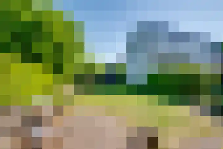 Kruisstraat 5 Dieren thumbnail 39